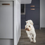 cd4f1495 2266 42fa ace7 270d0c7df2b5