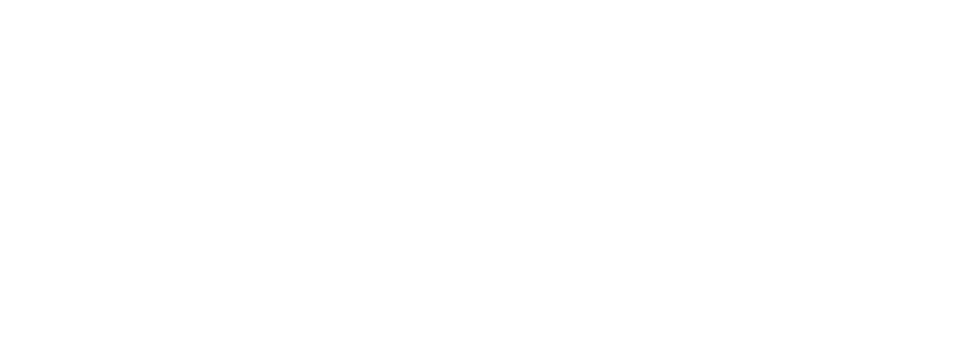 80cdd6_8c851a48eb89484384cf65803cd44ac3~mv2 (1)